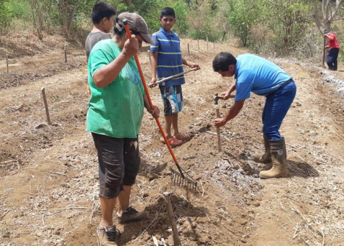 Obras Sociales AEC.